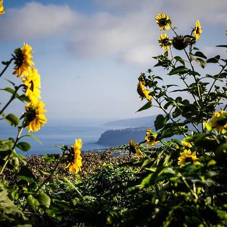 Finca Maranuela La Perdoma Екстериор снимка